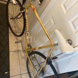 Vintage Peugeot Campagnolo 80’s Very Rare Bike From France