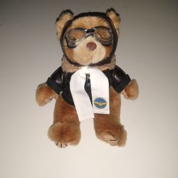 (Rare) 100th Anniversary Of Naval Aviation Teddy Bear