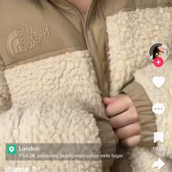 The north face jacket puffer