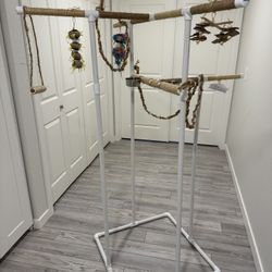 Bird Play Gym