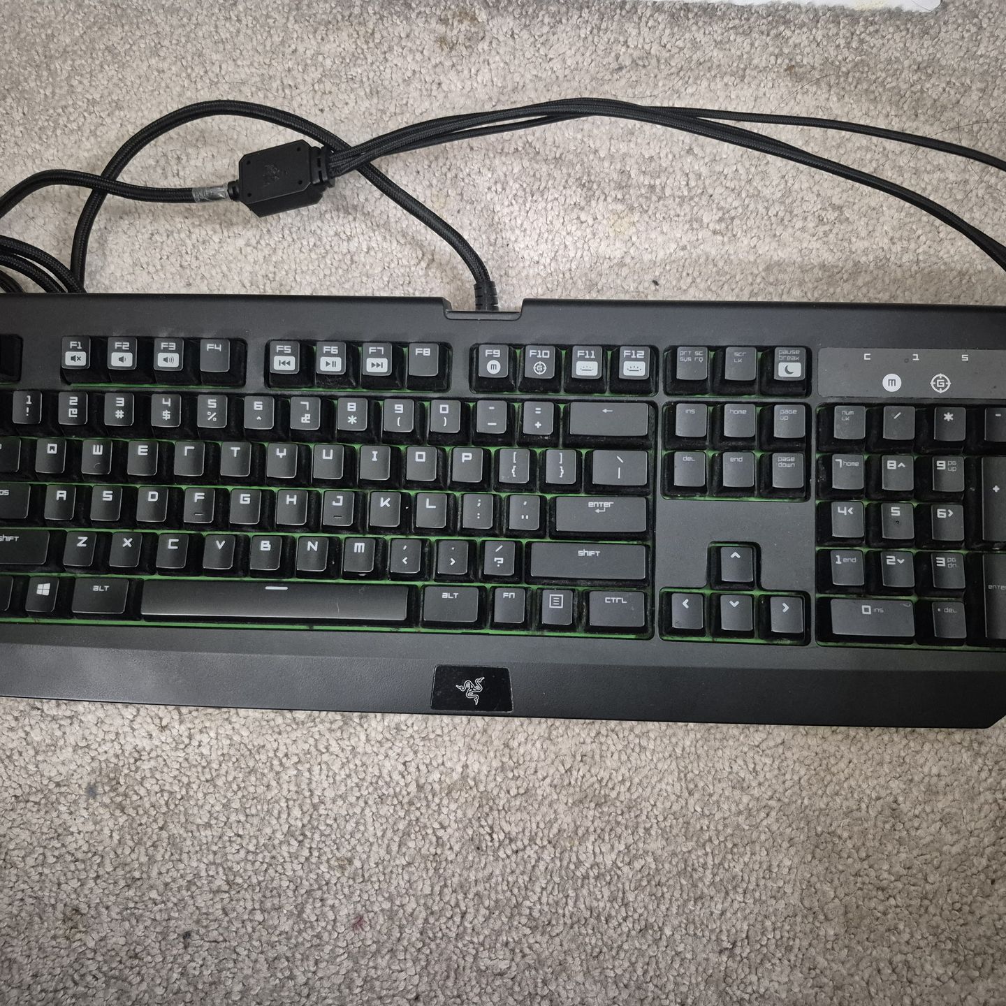 Image #1