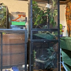 Chameleon Cage Setups 
