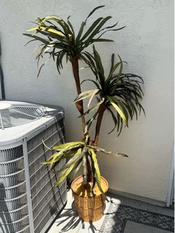 Tall Potted Faux Dracaena-Style Plant