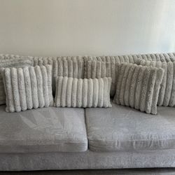 Gray Coach 