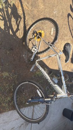 Mountain bike Schwinn
