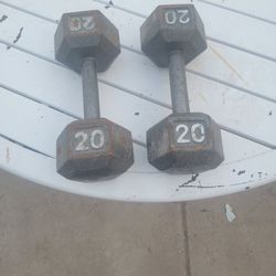 Pesas de 20 