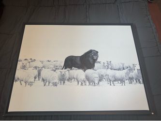 A Lion Among Sheep