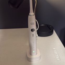Electric Toothbrush Guru Nanda