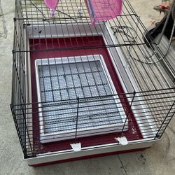 Guinea Pig Cage And Igloo