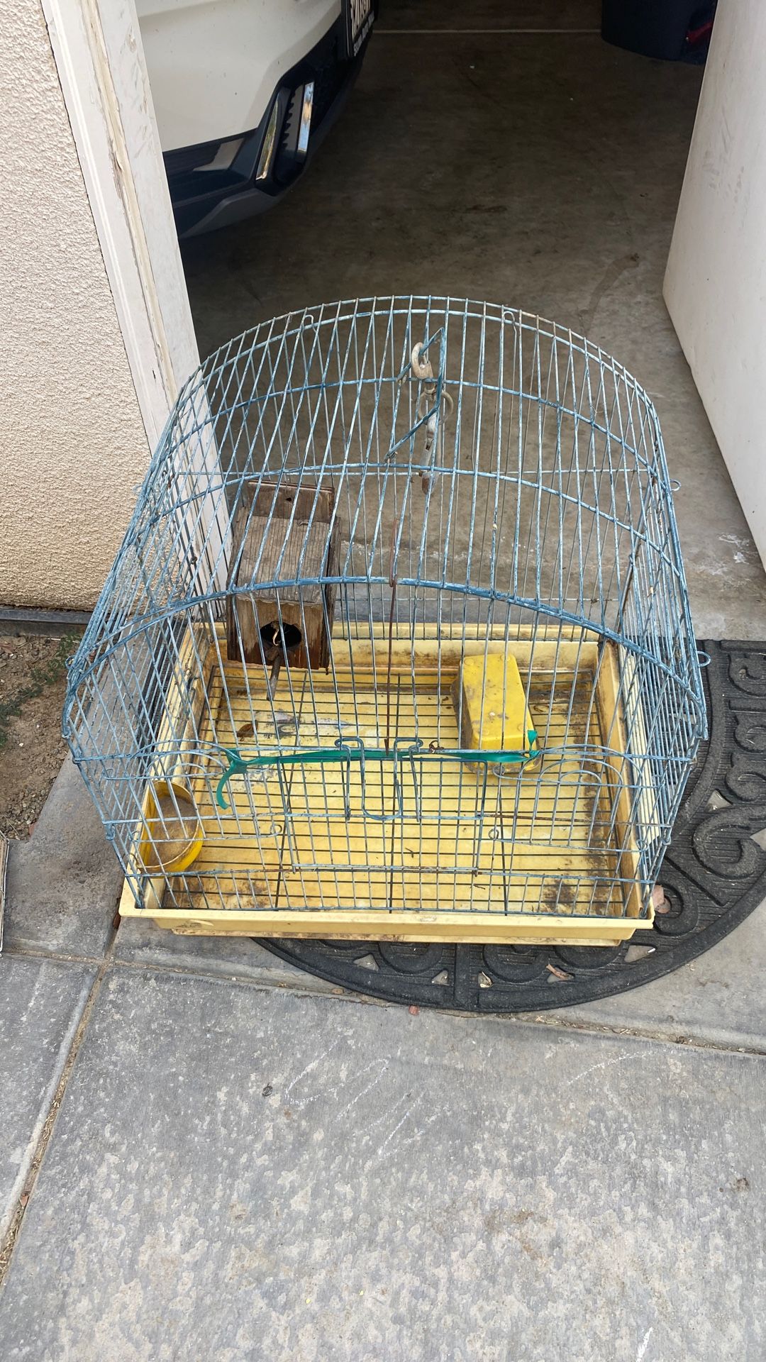 Bird Cage Large 