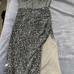 silver dress 