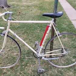 Vintage Allegro Bicycle