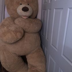 Giant Teddy Bear  Thumbnail