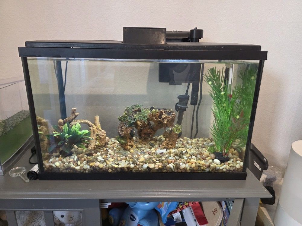 10 Gallon Fish Tank