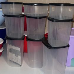 Fresh & Cool Containers 