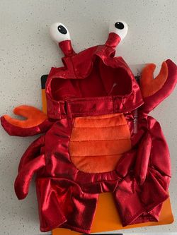 Lobster Halloween costume