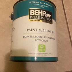 Interior Paint  White 2 Gallons