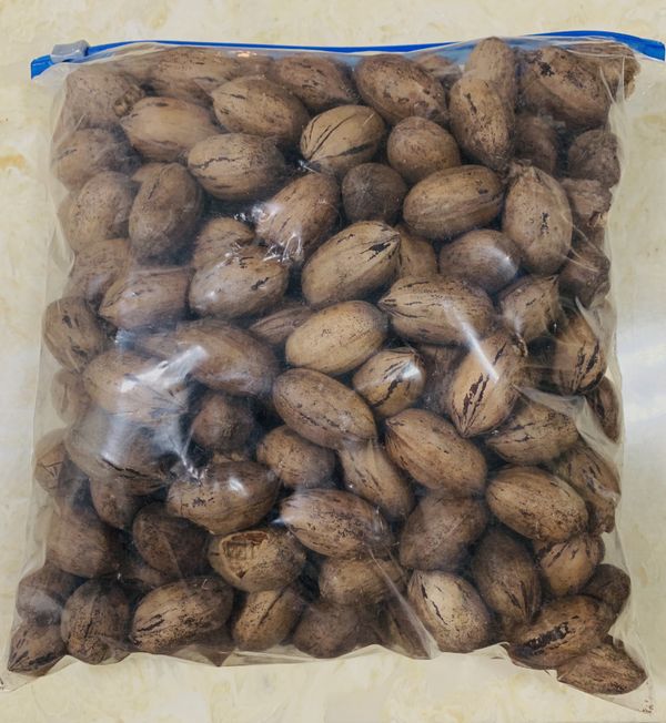 Pecans for Sale (Medium sized Papershell) for Sale in Houston, TX