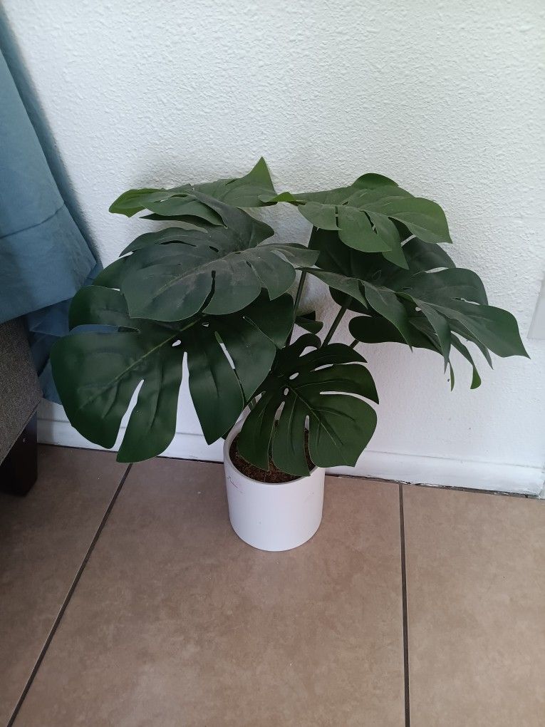 Artificial Plant 🪴 