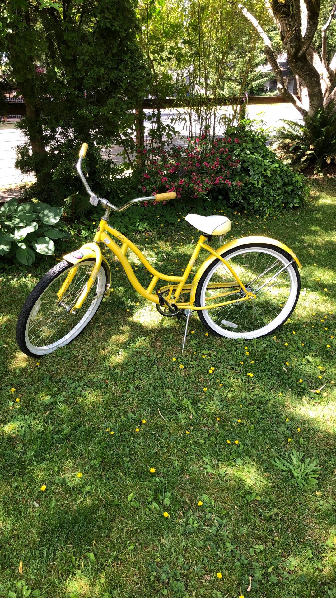 Schwinn Legacy Classic Bicycle