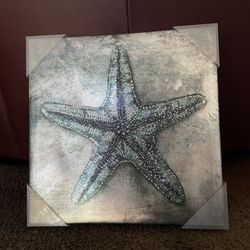 Wall Decor Picture Frame Sea Star