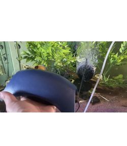 Whisper 60 Air pump W/ 7β Line And Air stone