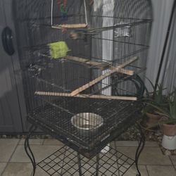 Jaula Negra Para Aves En Buenas Condiciones