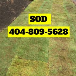 Sod