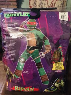 Ninga Turtle costume
