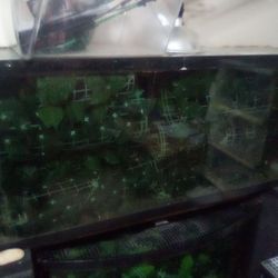 Aquarium SALE...