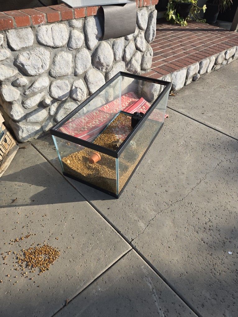 40 Gallon Fish Tank