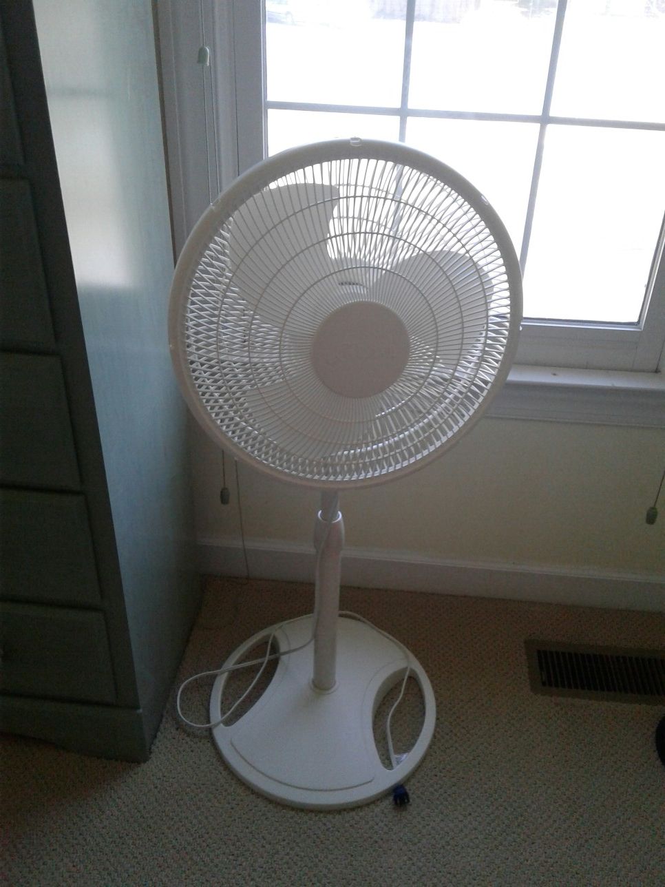 Summer stand fun