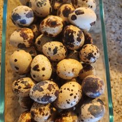 Quails Eggs Jumbo Brown 