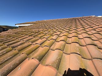 Roof Washer