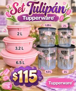 Set Tupperware