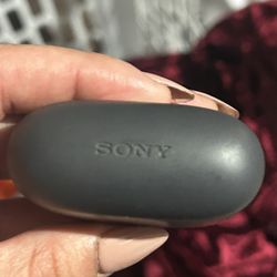 Sony Speaker And Wireless Earbuds 
