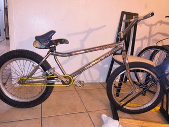 Monte trial stam x