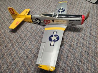 Scale Electric WarBird