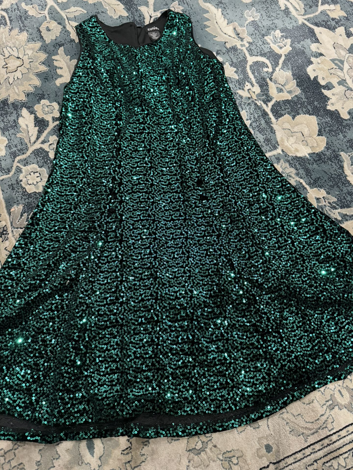 Almost New Girl 14 Fancy Party Dress