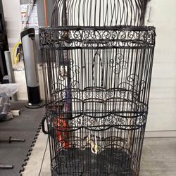 Bird Cage
