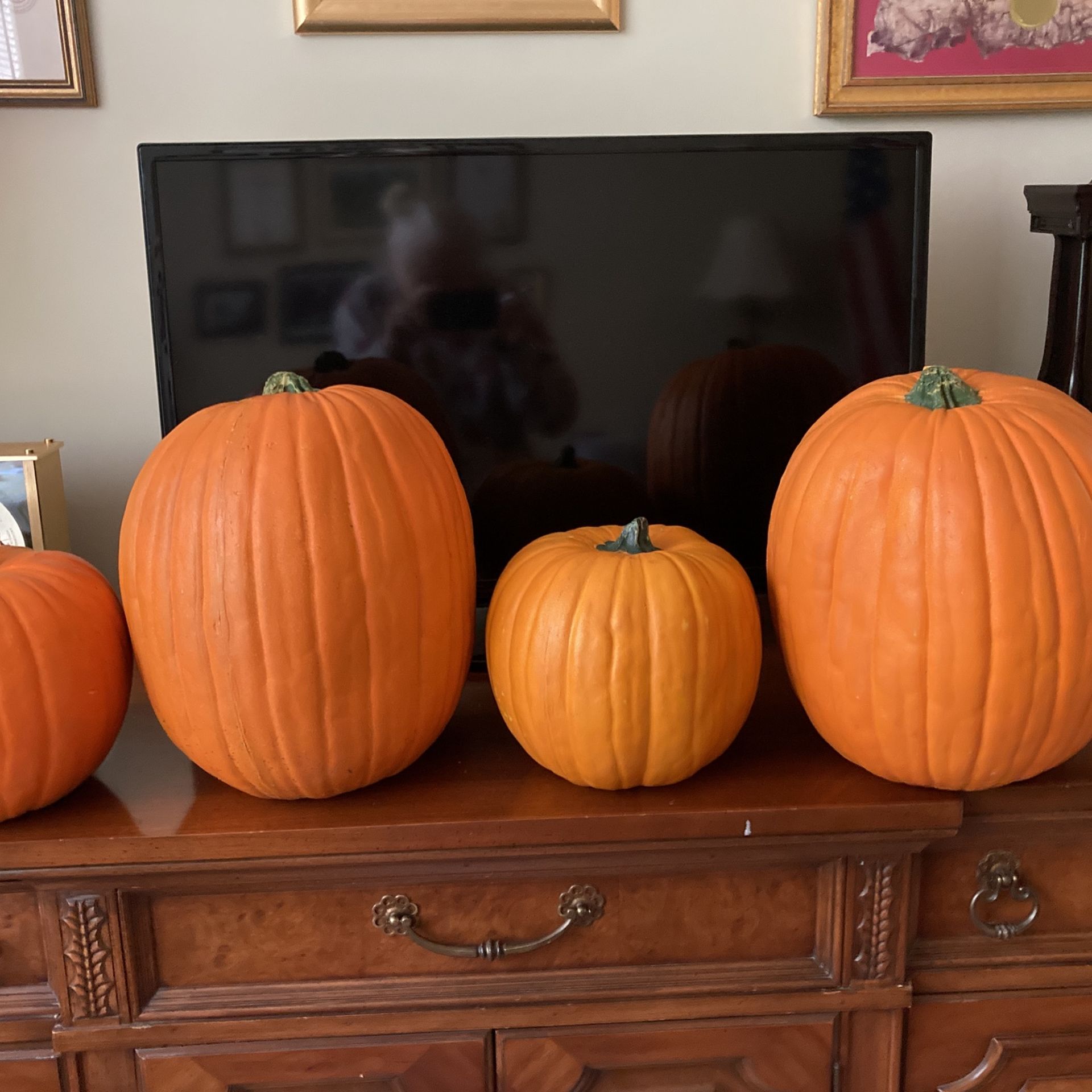 4 Pumpkins For $10.00  two large and two medium 2Mediuml