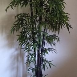 Z-Gallerie Artificial Bamboo Tree 