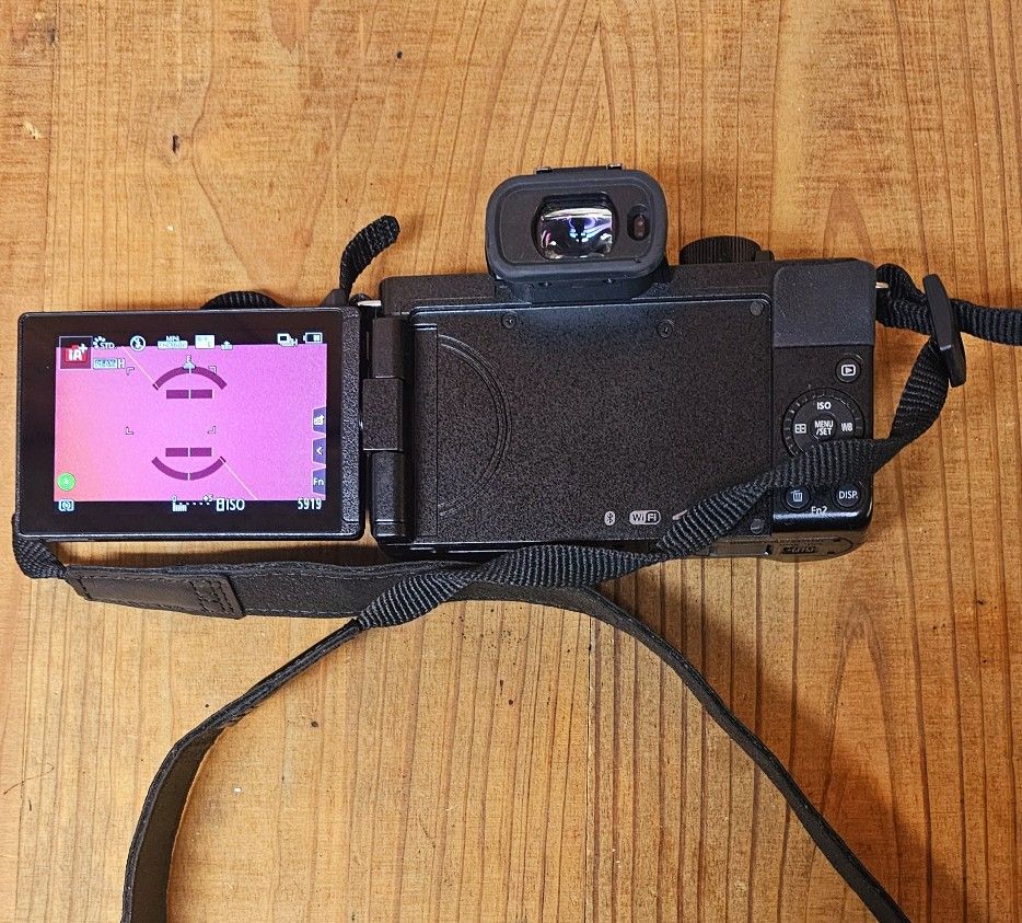 Lumix Camera DC-G100