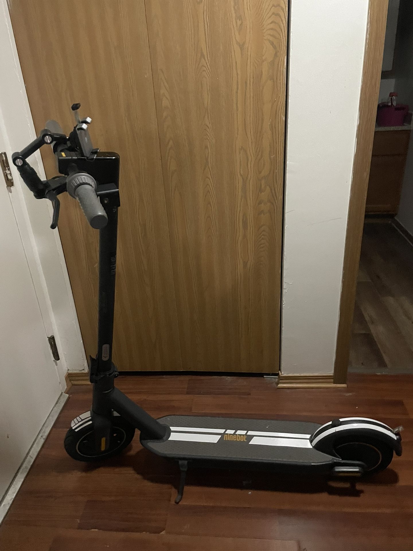 Ninebot Electric Scooter