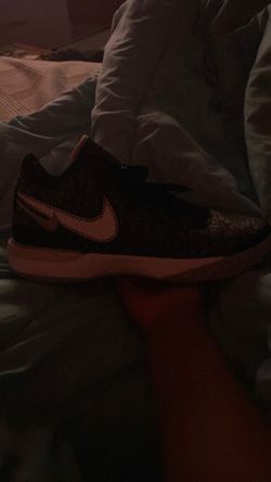 Nike zooms LeBron  NXXT GEN black/grey