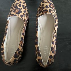 Women’s Flat, Pointed Toe