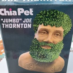 San Jose Sharks Chia Pet