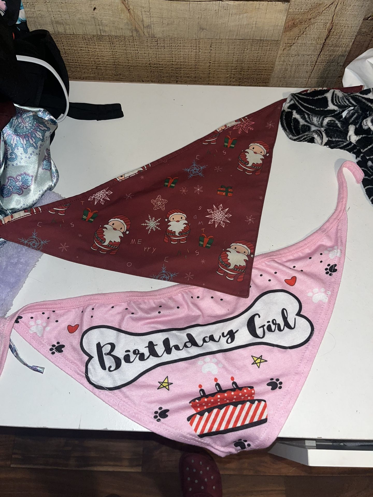 Dog Bandanna