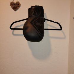 Venum Boxing Gloves 