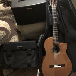 Guitars